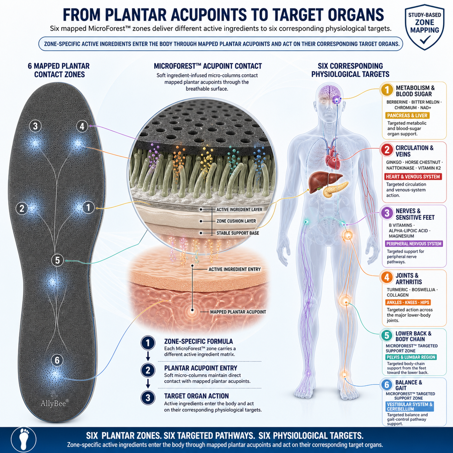 AllyBee® MicroForest™ BioBalance 6-Zone Wellness Insoles — Metabolism, Circulation, Nerves, Joints, Lower Back & Balance Support