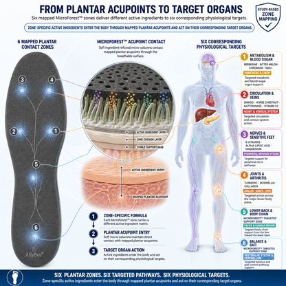 AllyBee® MicroForest™ BioBalance 6-Zone Wellness Insoles — Metabolism, Circulation, Nerves, Joints, Lower Back & Balance Support